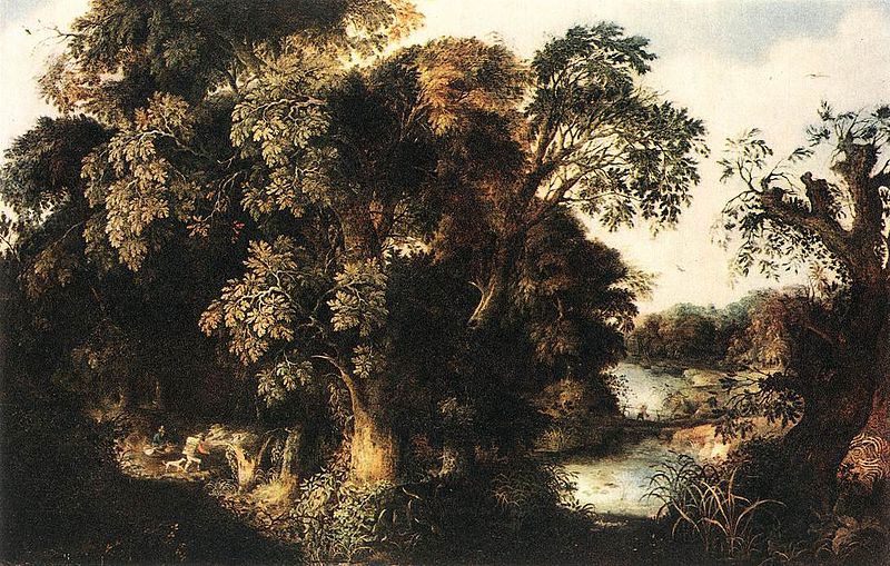 Forest Scene